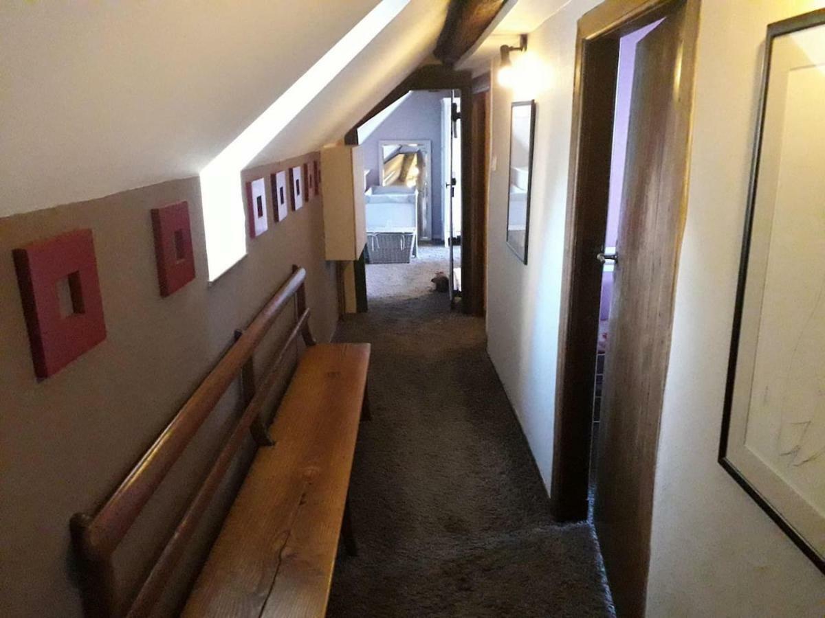La Romaine Dog Included Proche De Durbuy Dış mekan fotoğraf